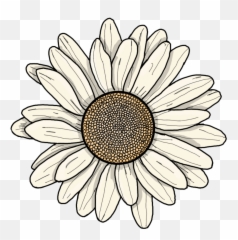 Flower Cartoon Sticker By Stacy - Cartoon Flower Png