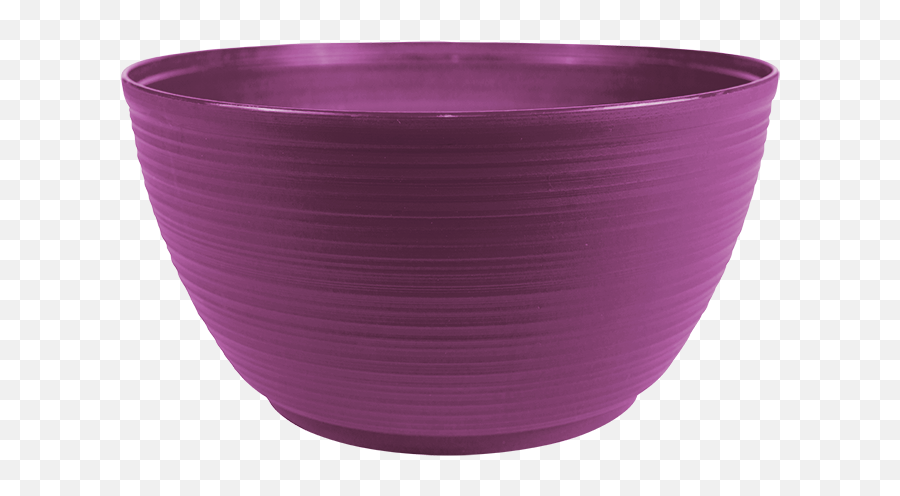 Plant Bowl In Passion Fruit - Bowl Png,Passion Fruit Png