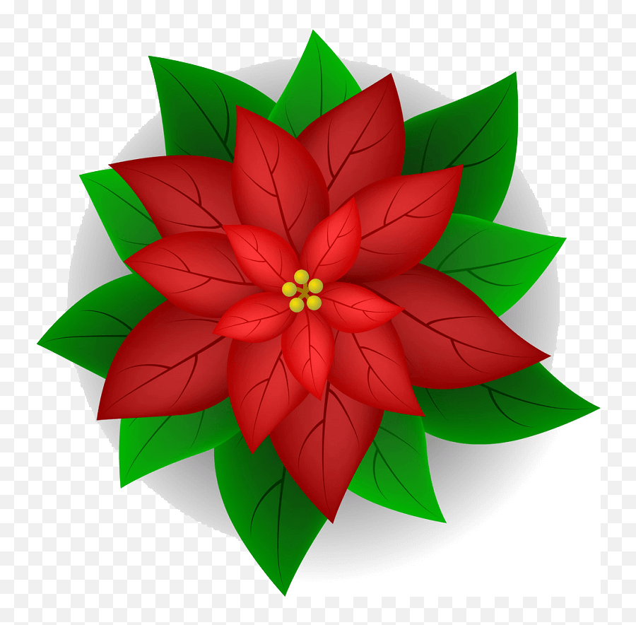 Poinsettia Clipart - Poinsettia Flower Vector Png,Poinsettia Icon Png
