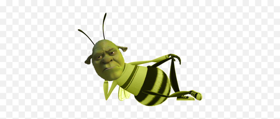 Shrek Pictures - Barry From The Bee Movie Png,Shrek Head Png