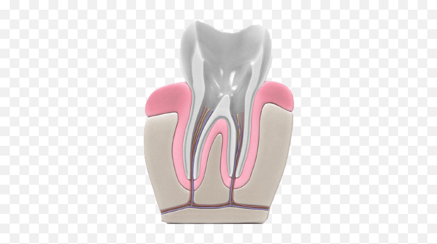 Root Canal Causes Procedure Aftercare U0026 Faqs Newmouth - Inflammation Of Tooth Pulp Png Icon,Icon Dental Treatment