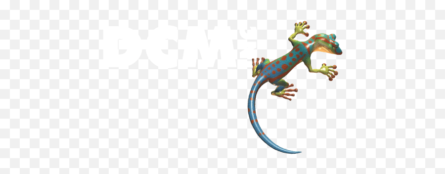 Dcm - Inclogo01gecko Dcm Products Inc Chameleon Png,Gecko Png