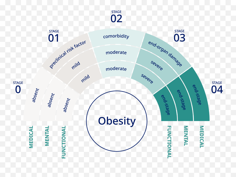 Obesity Diagnostics - Eoss Obesity Staging Png,Internet Icon Matthias