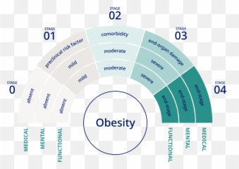 Obesity Diagnostics - Eoss Staging png