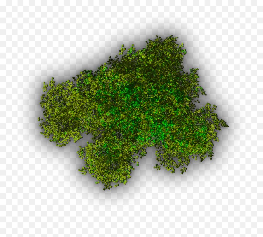 Top View Tree Icon Png - Png Plant Plan View,Tree Top View Png