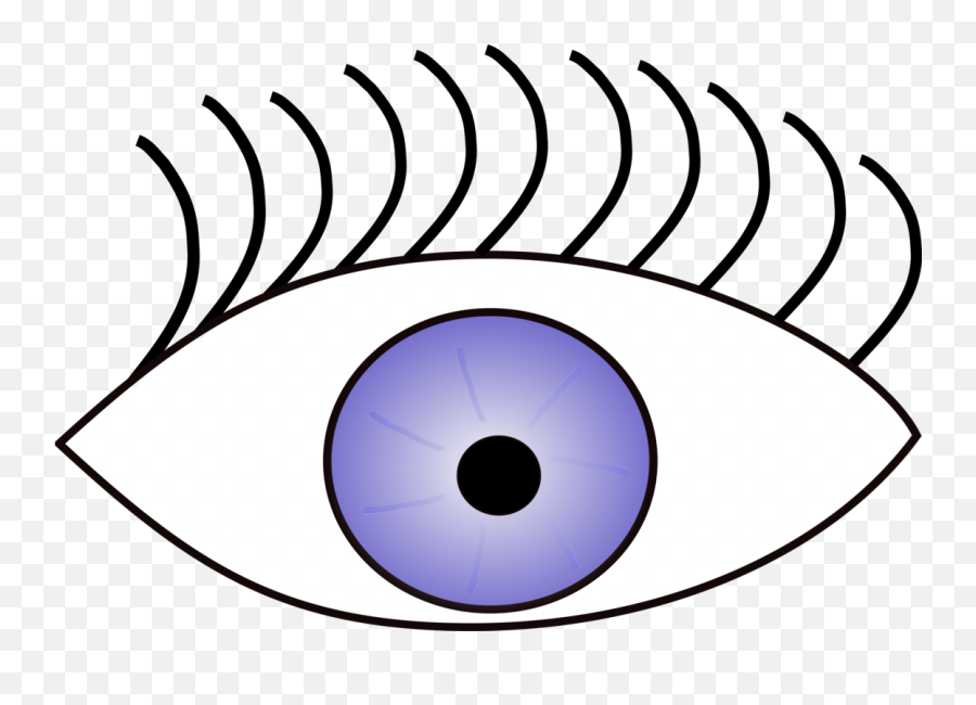 Iris Eye Symmetry Png Clipart - Five Senses For Kids Sight,Googly Eyes Png