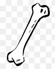 Bone Png Images Free Download - Clipart Black And White