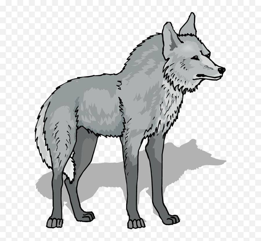 Transparent Background Wolf Clipart - Wolves Clipart Png,Wolf Transparent