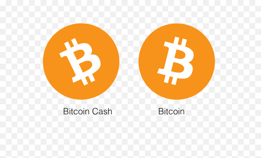 Coin Ninja News - Bitcoin Cash Icon Png,Bit Coin Logo