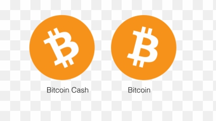 Coin Ninja News - Bitcoin Cash Icon Png