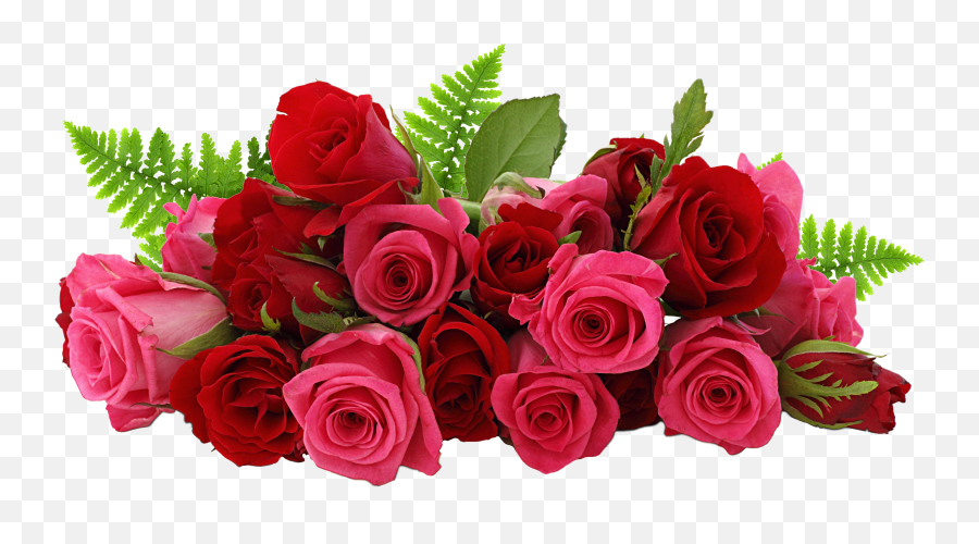 Red And Pink Roses Png Picture Red Rose Flower Bouquet Png Wedding Flowers Png Free Transparent Png Images Pngaaa Com