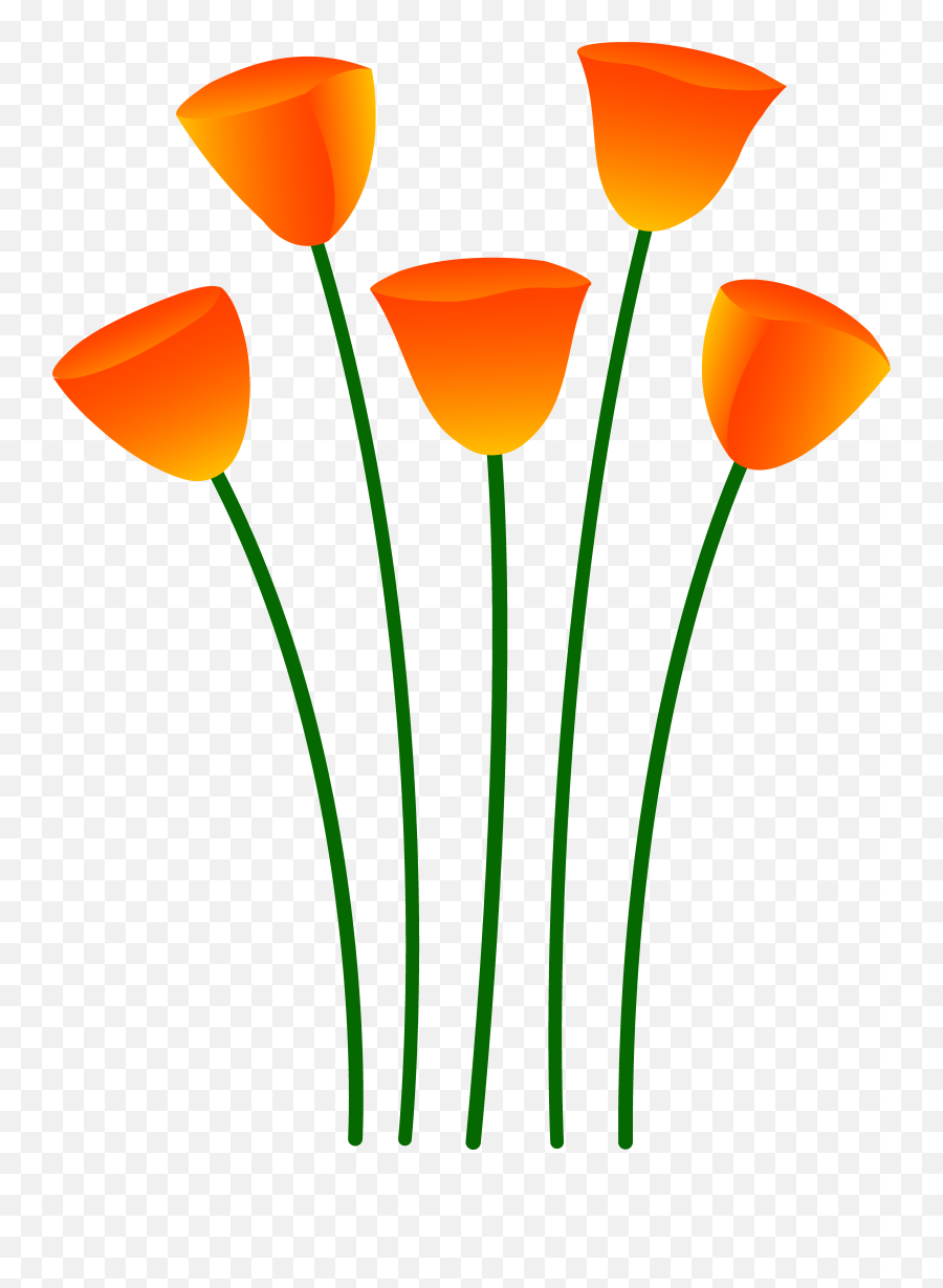 Flowers Clipart Orange Transparent Free For - California Poppy Clip Art Png,Flower Cartoon Png