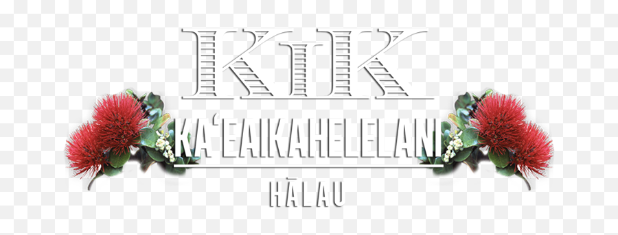 Halau Kau0027eaikahelelani Contact - Illustration Png,Kik Logo Png