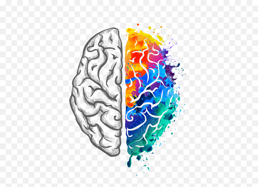 Alzheimeru0027s Solution Success Stories Team Sherzai Brain - Colorful Brain Logo Png,Brain Transparent Image