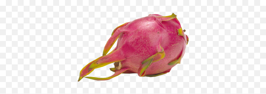 Dragon Fruit 1 Ea - Pitahaya Png,Dragonfruit Png