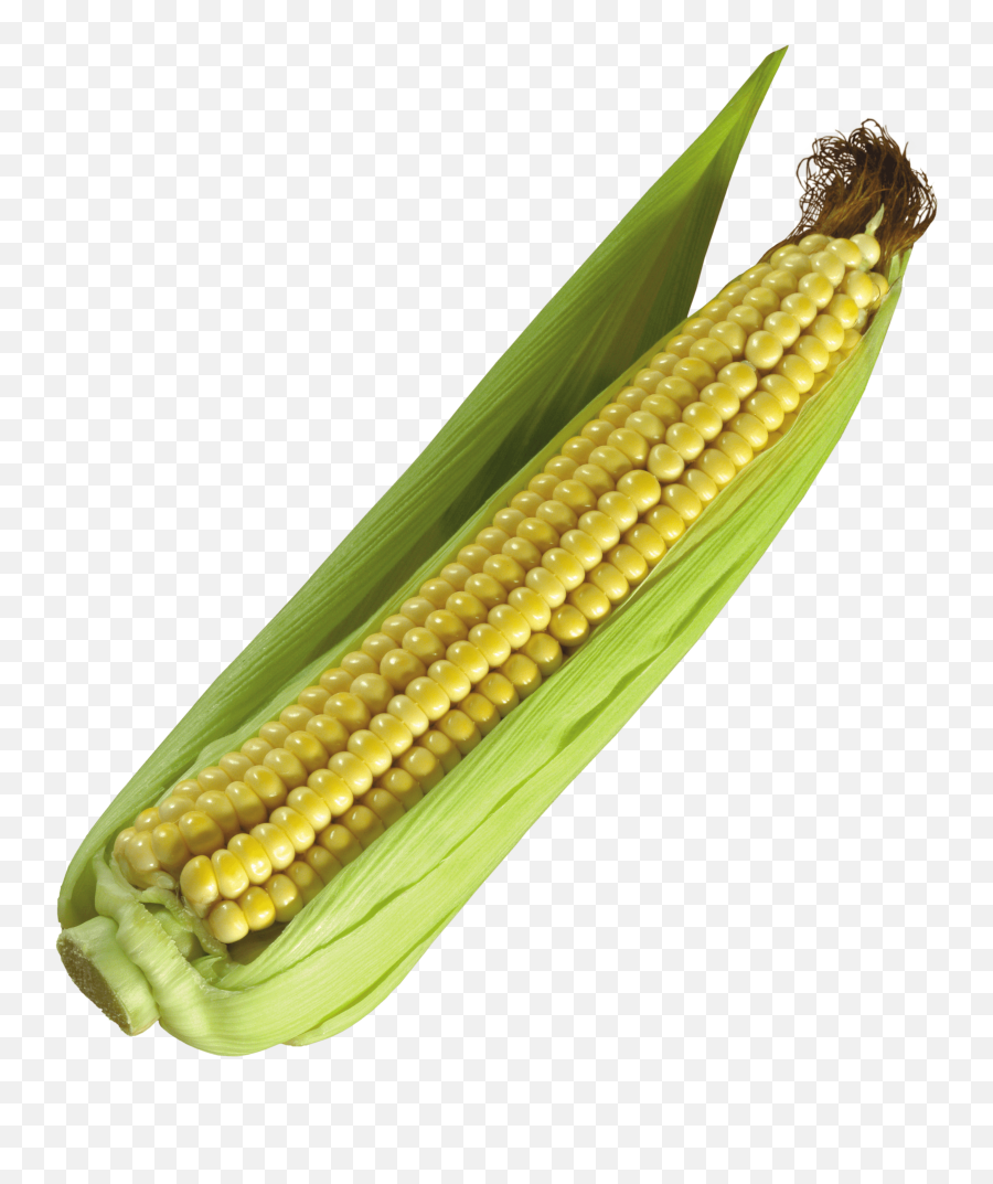 Download Free Corn Png Image Icon Favicon Freepngimg - Corn Gif Png,Corn Cob Png