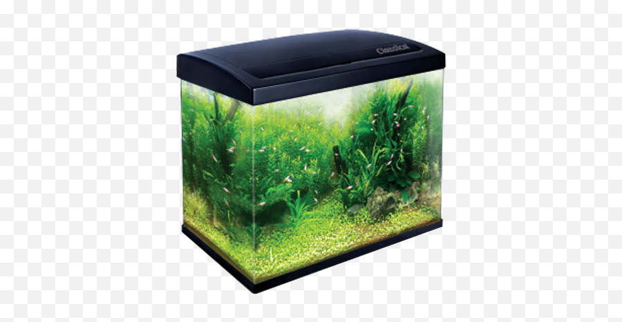 Classica Eco Aquarium Tank - Eco Aquarium Png,Fish Tank Png
