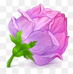 Purple Roses Icons U2013 Free Download Png