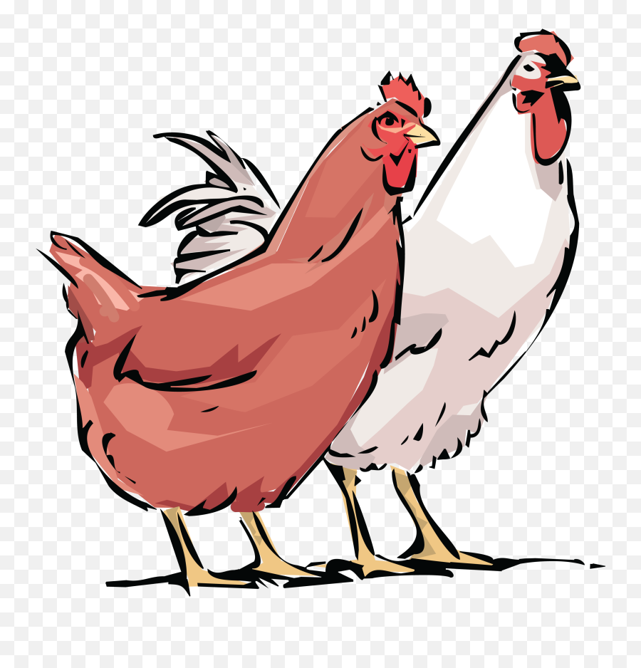 Free Clipart Of A Chicken Hen And - Clip Art For Hens Png,Hen Png