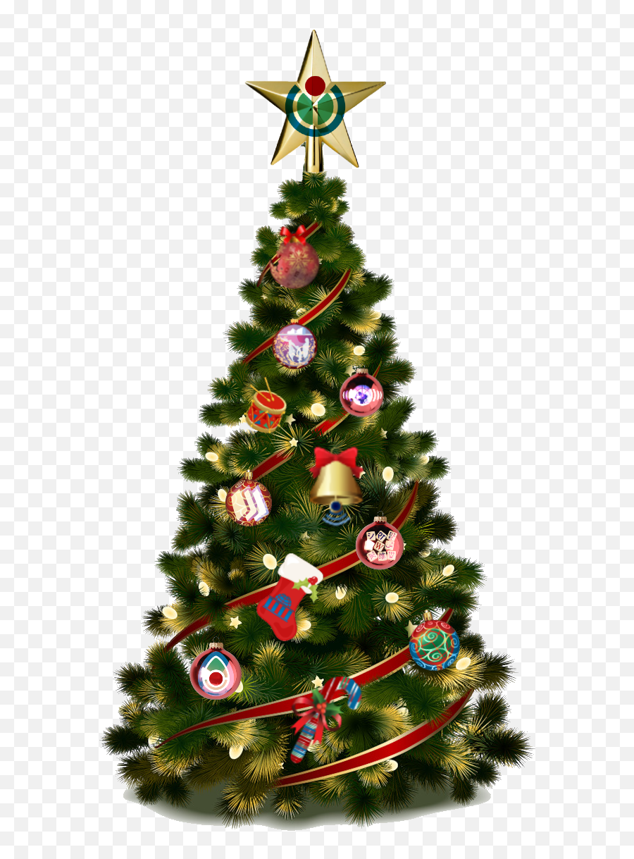 Wiki - Christmas Tree Illustration Transparent Background Png,Spruce Tree Png