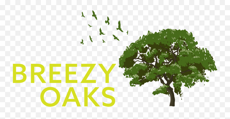 Breezy Oaks Rv Park Transparent Png - Tree,Potluck Png