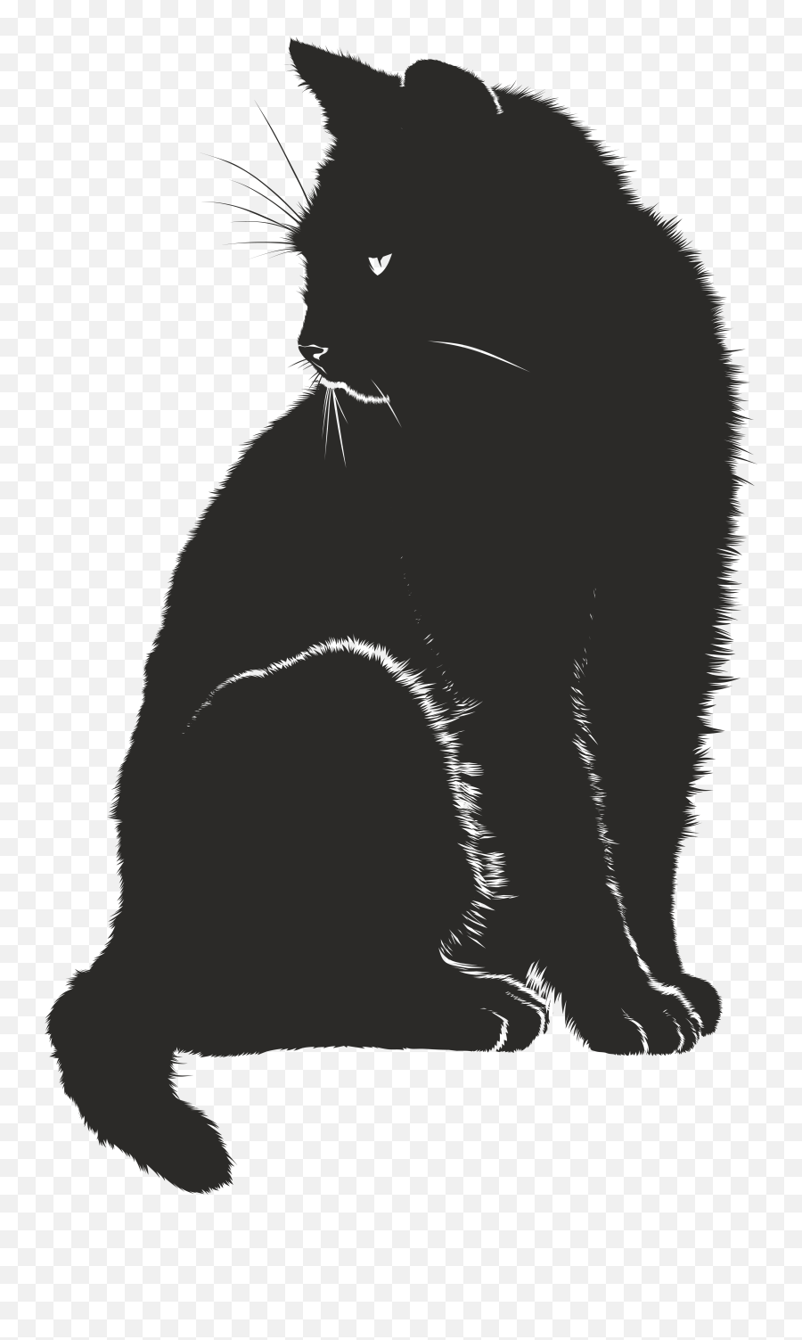 White Sitting Cat - Black Cat Graphic Png,Cat Silhouette Png