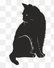 White Sitting Cat - Black Cat Graphic Png,Cat Silhouette Png