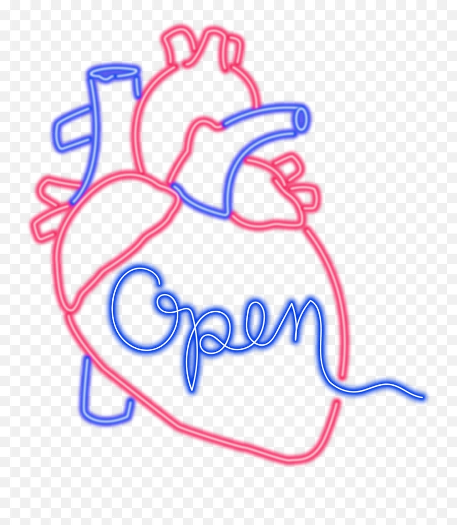 Amanda Iglesias - Realistic Heart Cartoon Drawing Png,Neon Heart Png