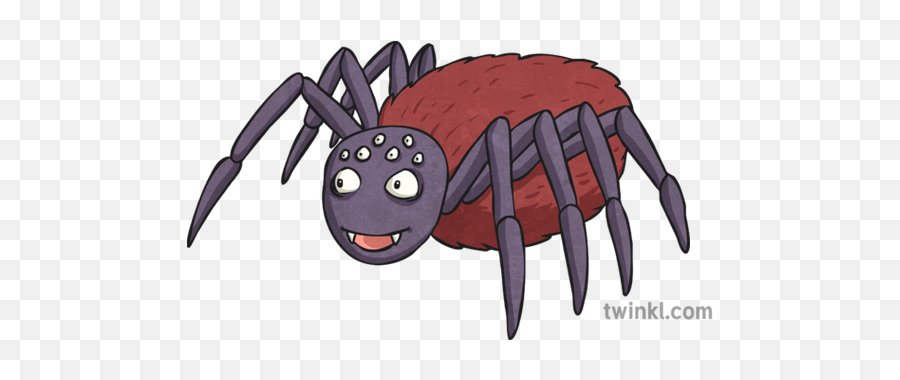 Cartoon Spider Illustration - Tarantula Png,Cartoon Spider Png