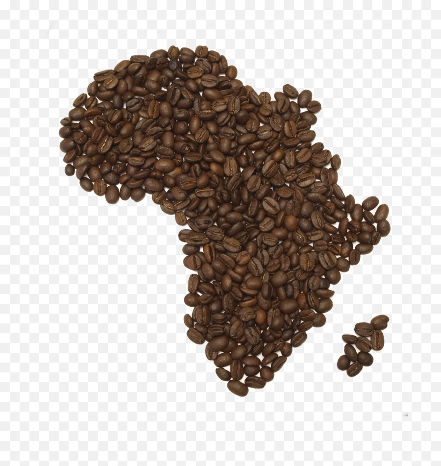 Download Coffee Beans Png Fifteen - Coffee Bean,Beans Png