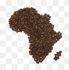 Download Coffee Beans Png Fifteen - Coffee Bean,Beans Png