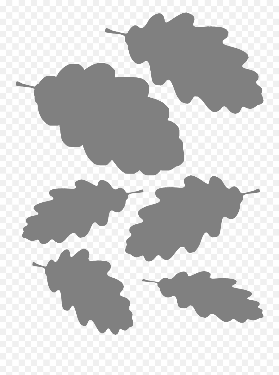 Download Hd Useful Oak Leaf Template - Oak Transparent Png Stencil,Oak Leaf Png