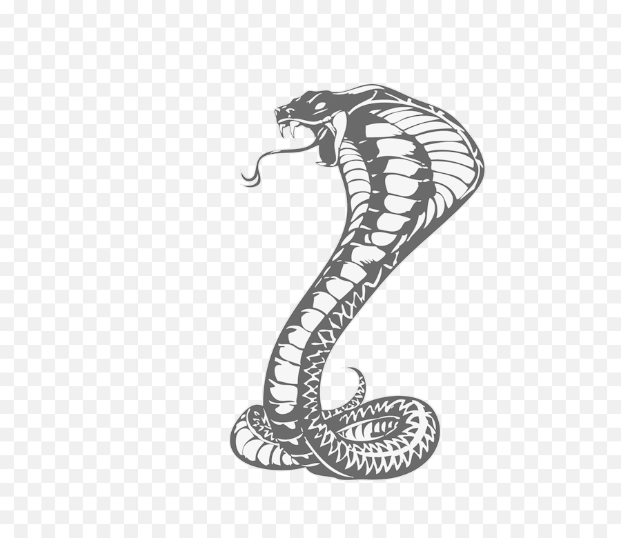 Tattoo Snake Png Download Snakes
