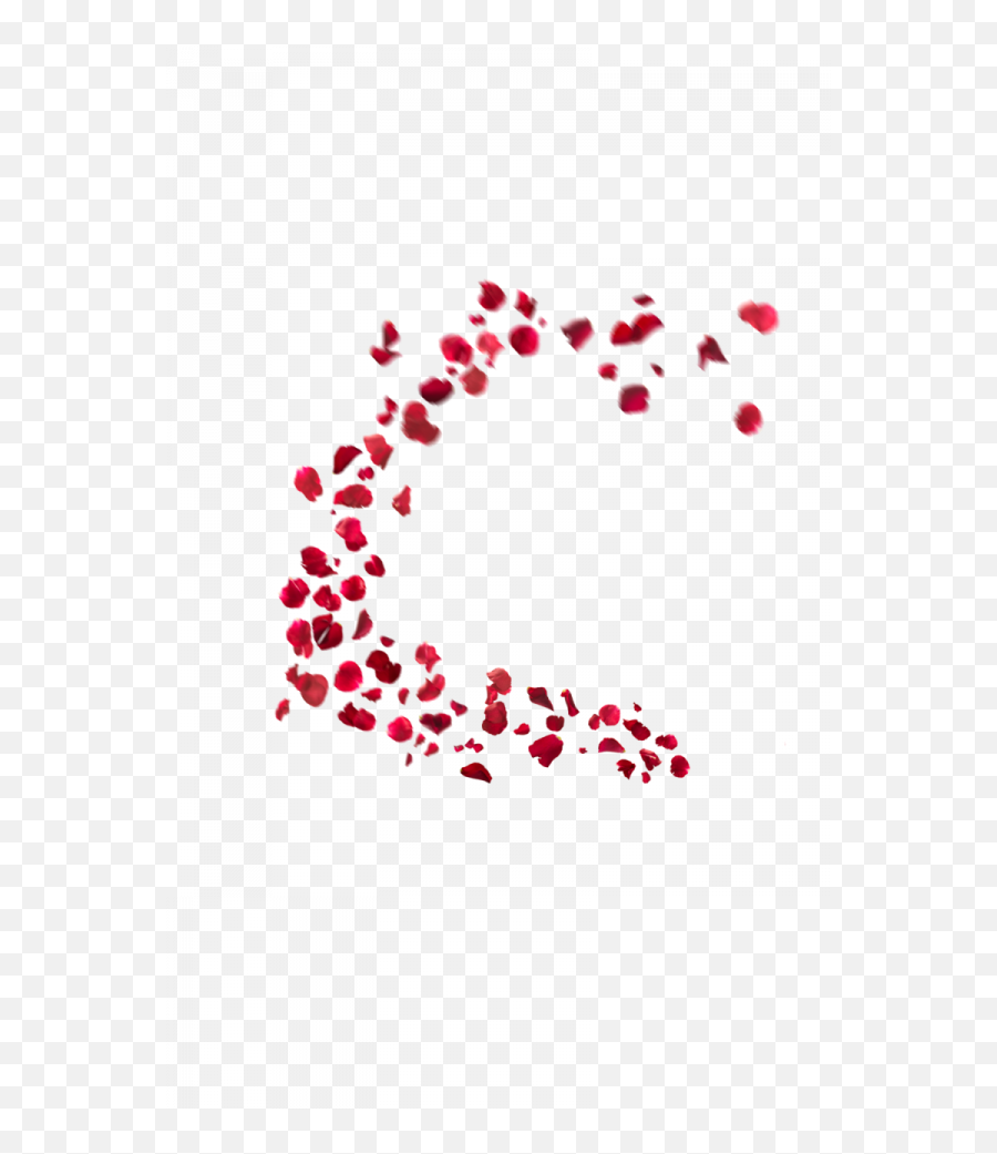 Falling Red Rose Petals Png Transparent - Rose Flower Petals Png Hd,Falling Rose Petals Png