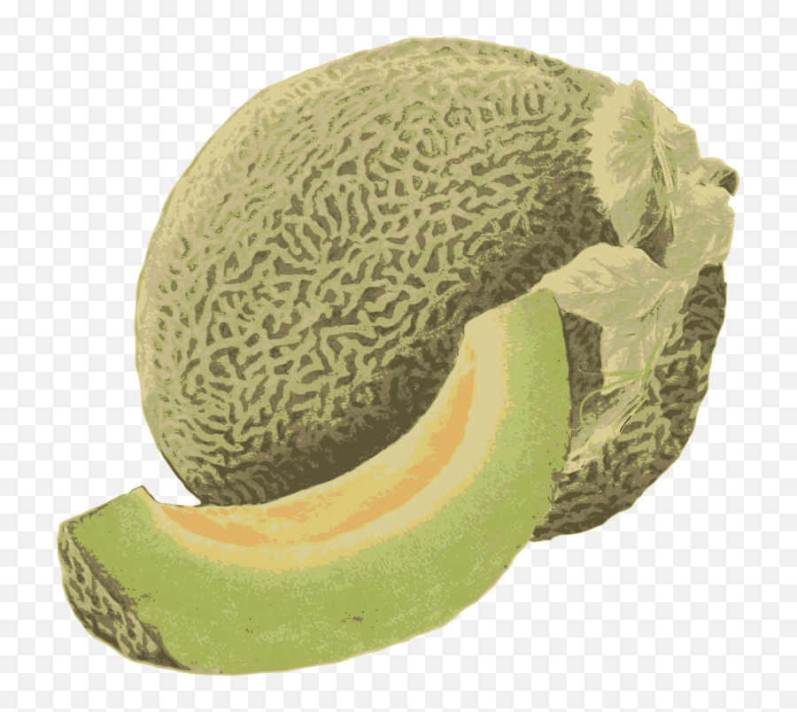 Download Honeydew Melon - Honeydew Png,Honeydew Png