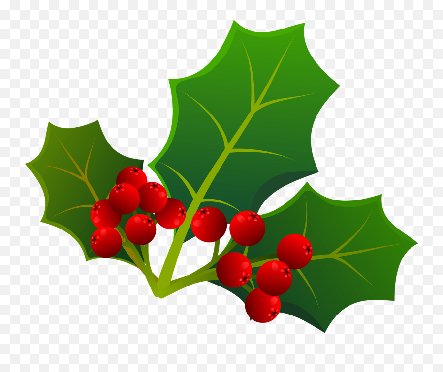 Holly Berries And Leaves Clipart - Holly With Berries Png Transparent,Holly Leaves Png