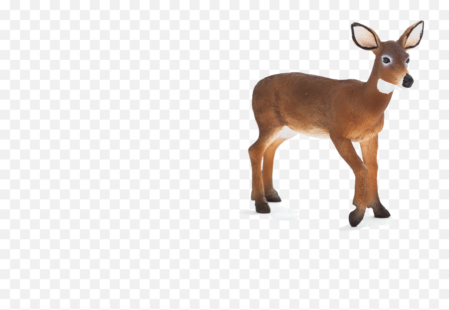 Hd Doe Png Transparent Image - Whitetail Deer Toy,Doe Png