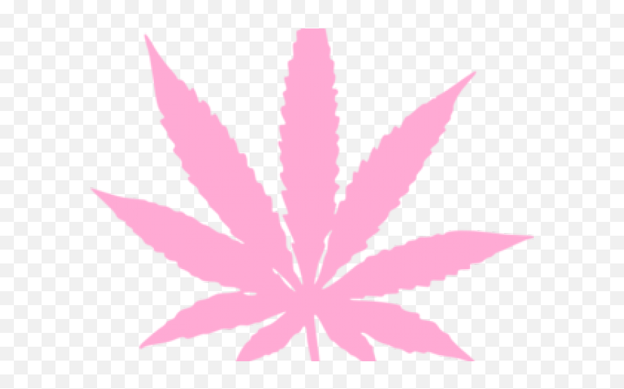 Download Image Library Stock Weed Free - Marijuana Leaf Png,Marijuana Plant Png