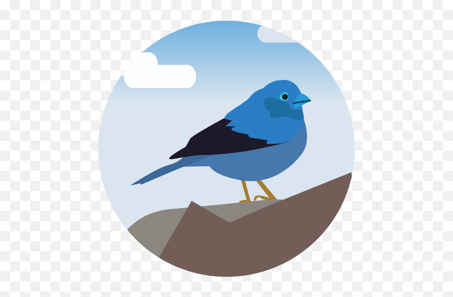 Fringilla Teydea Blue Finch Bird - Old World Flycatchers Png,Bluebird Icon