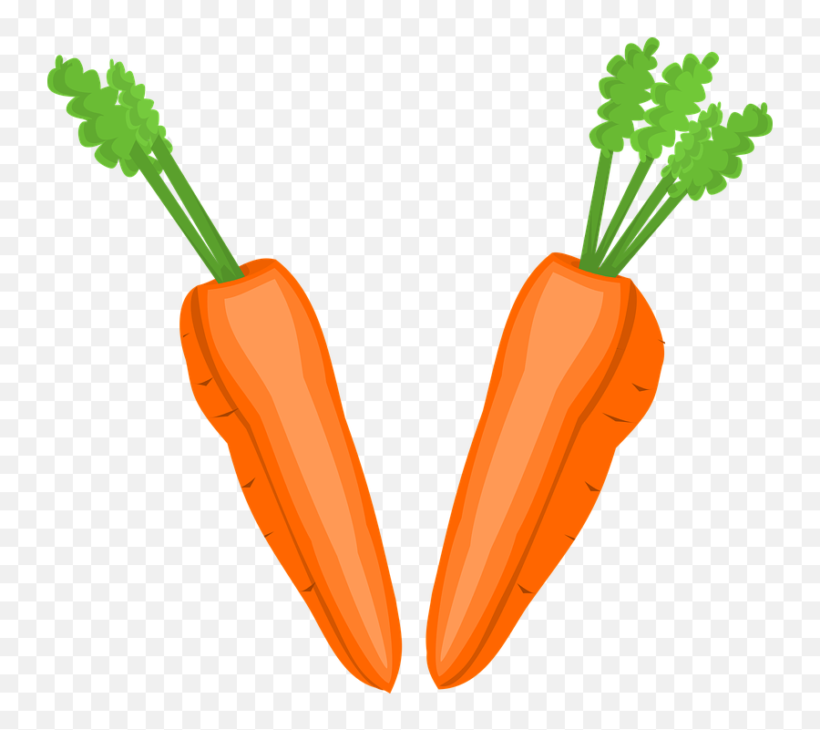 Carrot Png Images Carrots Clipart Free Download - Free Clipart Different Vegetables,Carrot Transparent Background