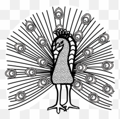 This Free Icons Png Design Of Peacock Lineart Full Size - Images Clip Art Black And White