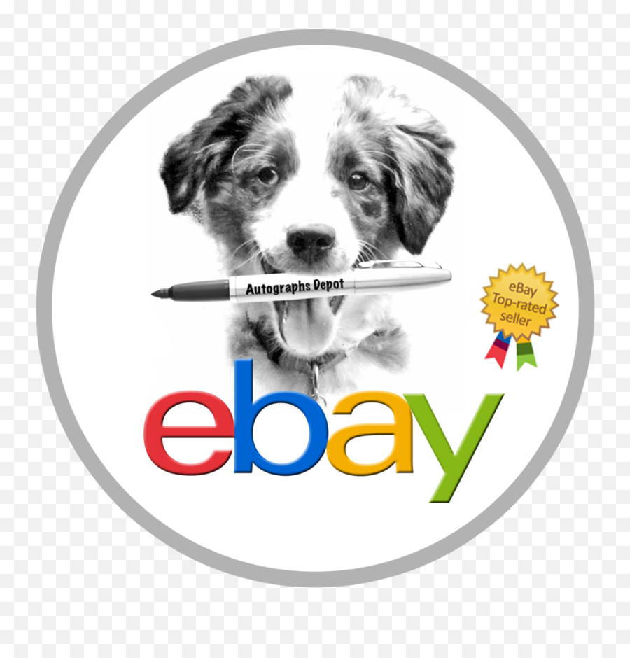 Ebay Png Images Transparent Background Play - Evay Uk,Ebay Icon Vector