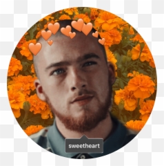 Euphoria Imagines - Icons 1 Wattpad Fezco Ashtray png