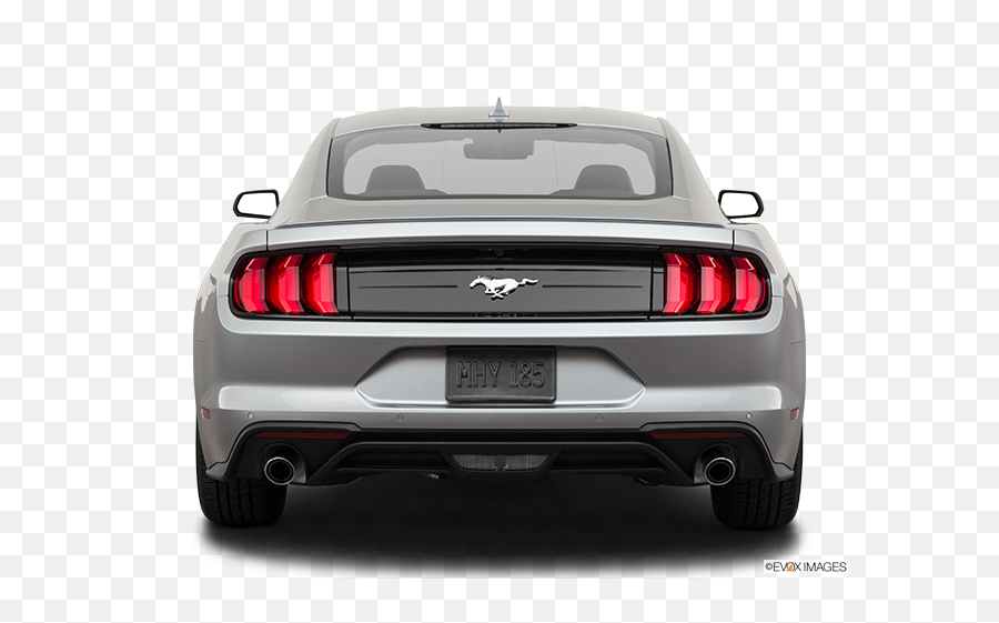 2022 Ford Mustang Ecoboost Fastback Driving - Ford Mustang 2022 Back View Png,2016 Mustang Convertible Ecoboost Engine Icon