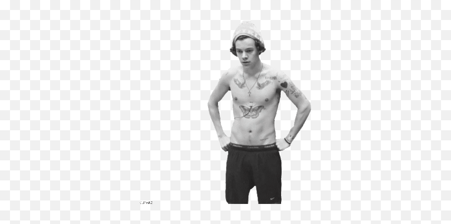 Harry - Harry Styles Fan Art 37911180 Fanpop One Direction Transparent Gif Png,Harry Icon