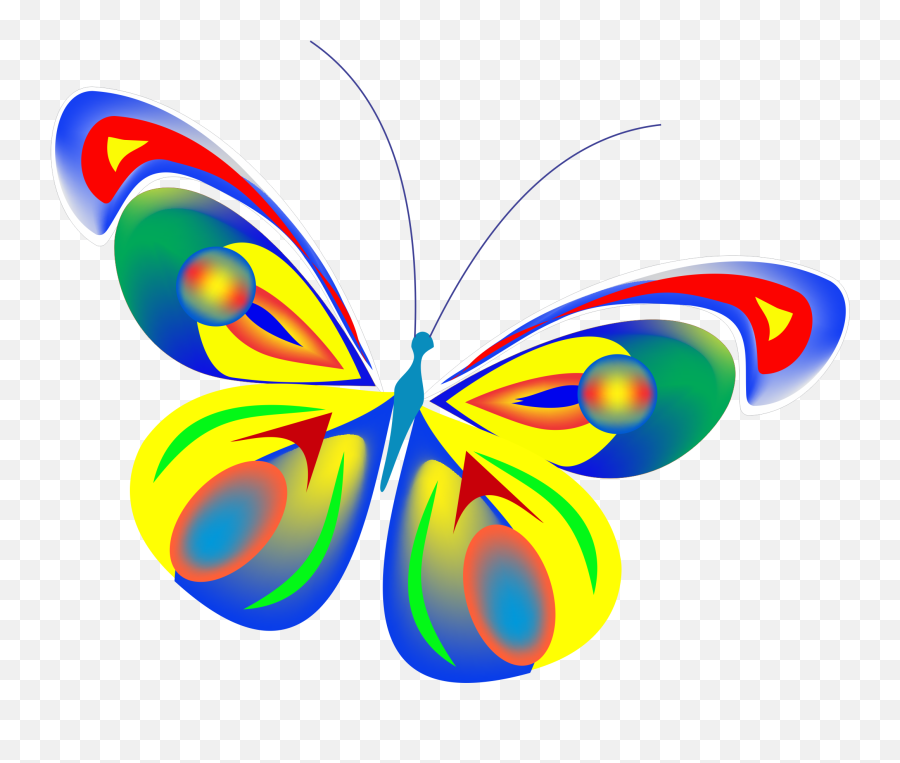 Download Mariposas Png Image With No - Graphic Design,Mariposa Png