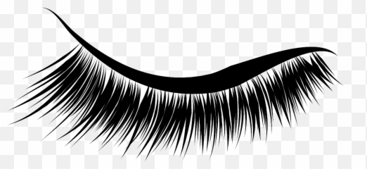 Lashes Png Transparent Images - Eyelash Extensions