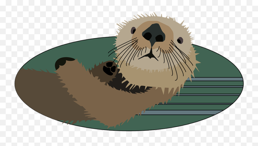 Otter Animal Mammal - Free Vector Graphic On Pixabay Sea Otter Clipart Cute Png,River Transparent Background