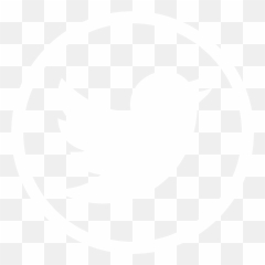 Ecm Benchmarking Report - Twitter Logo Email Signature png