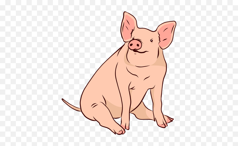 Pig Snout Ear Tail Hoof Illustration - Transparent Png U0026 Svg Domestic Pig,Cartoon Pig Png